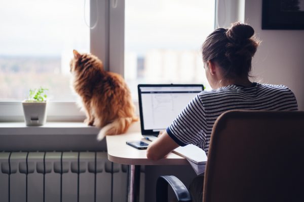 It's All Remote: What It Takes To Run A business From Home In 2019