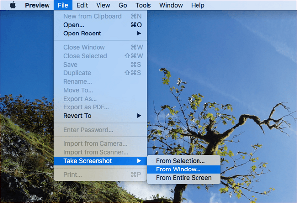 Screenshot with the Use of Preview
