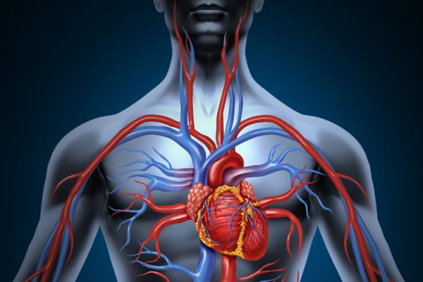 Ways To Improve Circulation