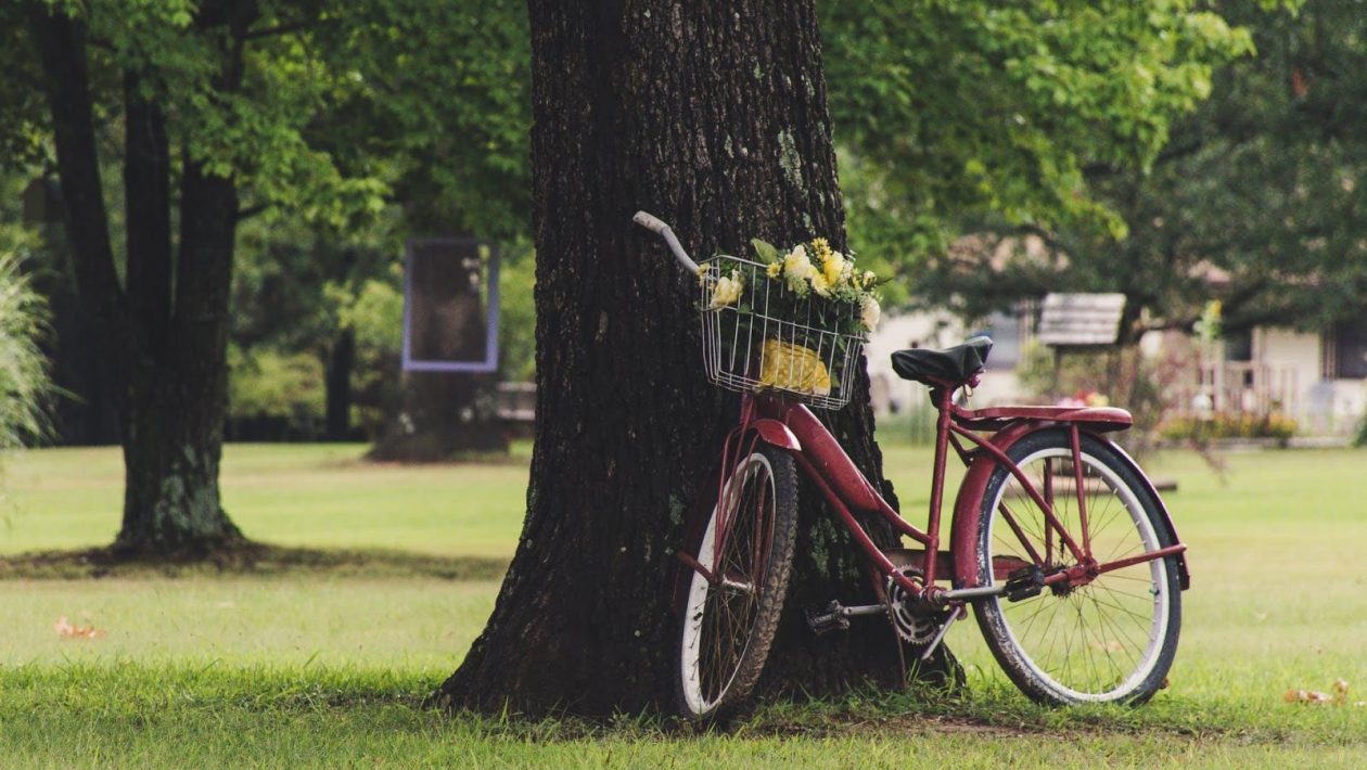 Exercises You Can Do Around the Neighborhood