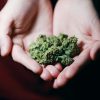 medicinal marijuana health benefits