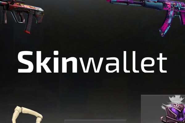 Skinwallet if You are a Gamer