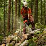 Logging Worker