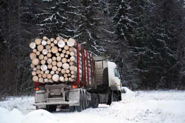 log truck driver