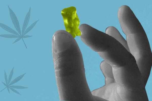hemp gummies vs cbd gummies