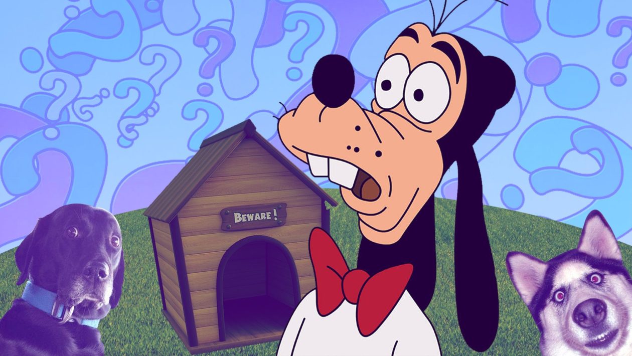 is goofy a dog