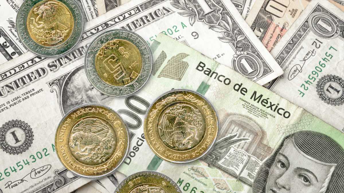 Monitoring Money Transfer Service Activity to Mexico