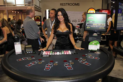 Pai Gow Poker combines elements of traditional poker with the ancient Chinese game of Pai Gow.
