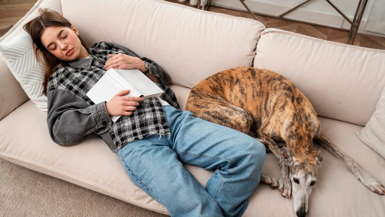 why do dogs sleep with their bum facing you