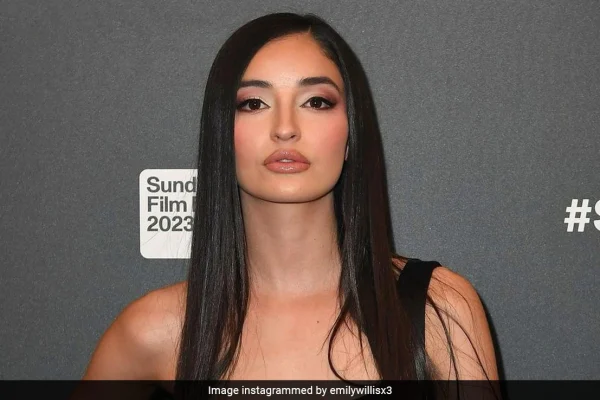 emily willis net worth