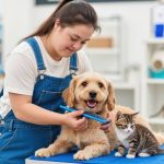 Pet Care